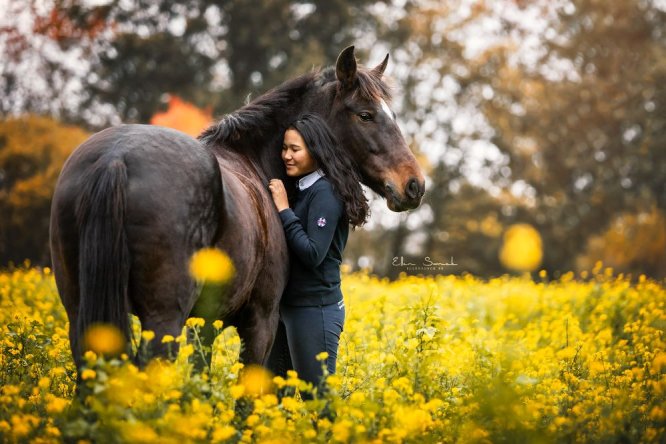 Conny-paard-pony-connectie-herfst-geel-bloemen-koolzaad
