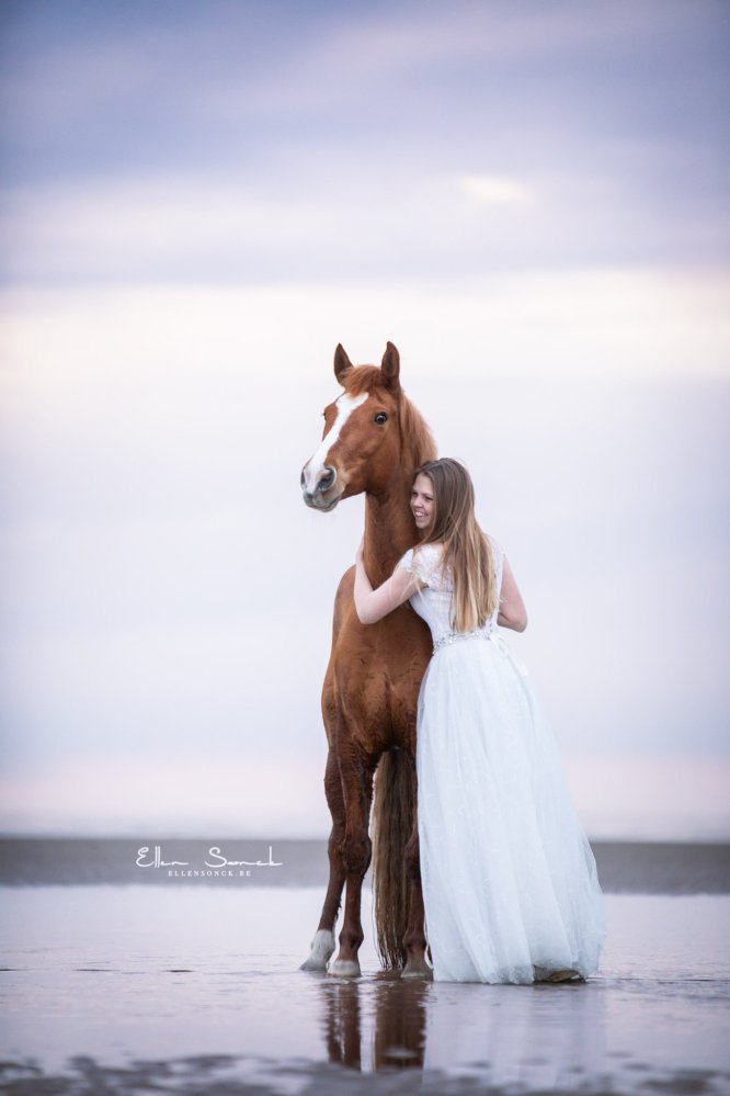 EllenSonckPhotography-paardenfotografie-strand-2
