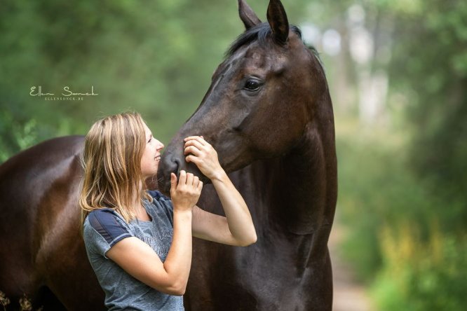 Featherlight-horsemanship-paard-zomer