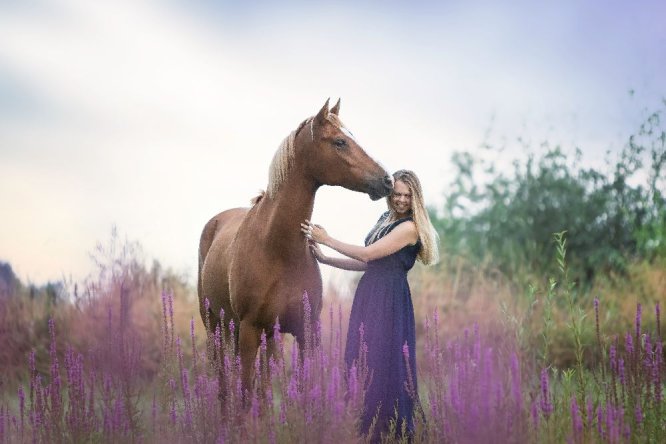 Hanneke-charlie-pony-paard-paars-bloemen-zonsopgang-ochtend