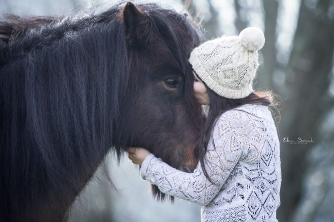 Lieselotte-pony-ijslander-winter