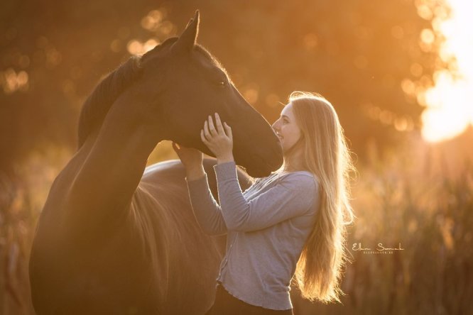 Phyllis-zomer-zonsopgang-pony-paard